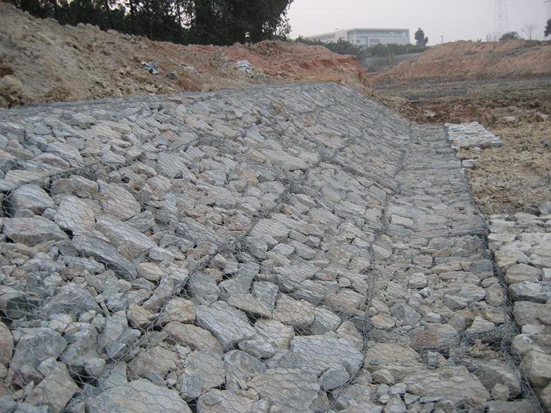 雙隔板雷諾護墊