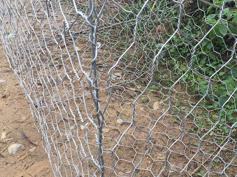 鋼絲石籠網(wǎng)