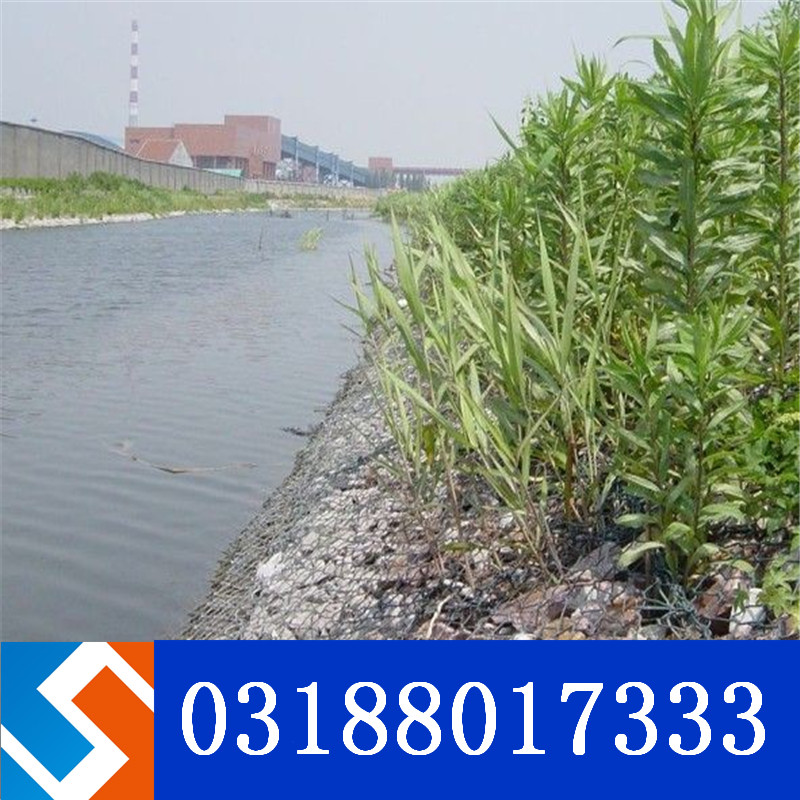 廣西百色雷諾護墊右江治理工程 廣西百色雷諾護墊右江治理工程